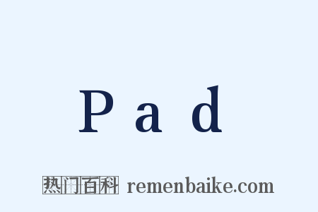 Pad是什么意思的图片